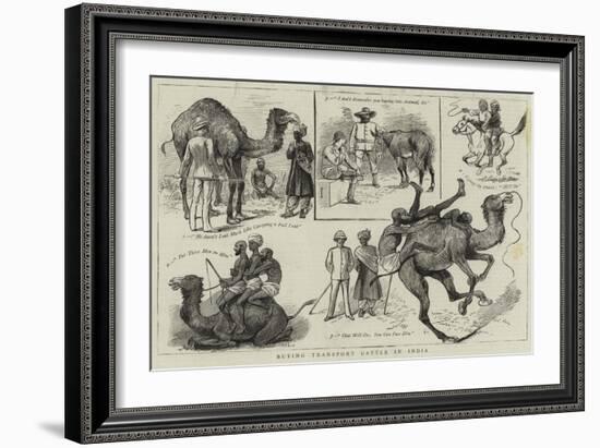 Buying Transport Cattle in India-null-Framed Giclee Print