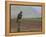 Buzzard (Buteo Buteo), Captive, United Kingdom, Europe-Ann & Steve Toon-Framed Premier Image Canvas