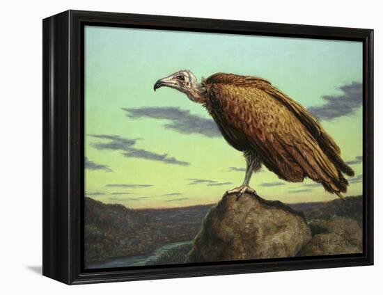 Buzzard Rock-James W. Johnson-Framed Premier Image Canvas