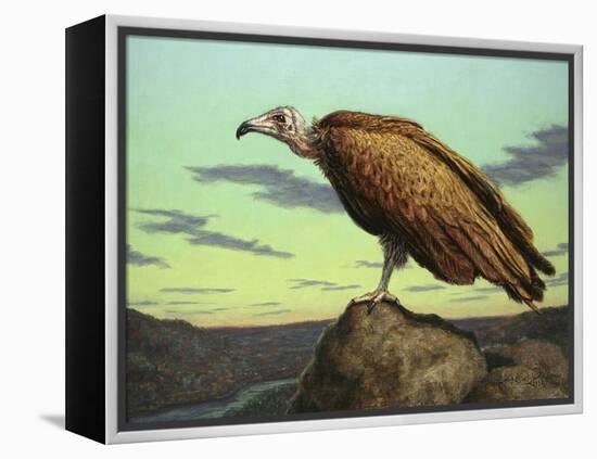 Buzzard Rock-James W. Johnson-Framed Premier Image Canvas