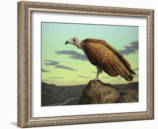 Buzzard Rock-James W. Johnson-Framed Giclee Print