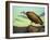 Buzzard Rock-James W. Johnson-Framed Giclee Print