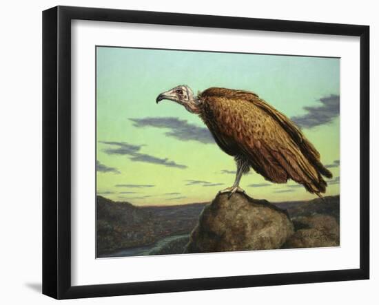 Buzzard Rock-James W. Johnson-Framed Giclee Print