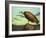 Buzzard Rock-James W. Johnson-Framed Giclee Print