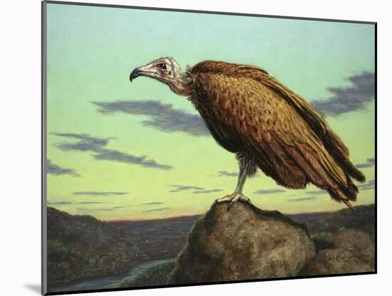 Buzzard Rock-James W. Johnson-Mounted Giclee Print