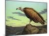 Buzzard Rock-James W. Johnson-Mounted Giclee Print