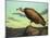 Buzzard Rock-James W. Johnson-Mounted Giclee Print
