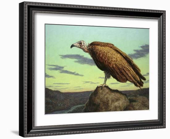 Buzzard Rock-James W. Johnson-Framed Giclee Print