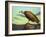 Buzzard Rock-James W. Johnson-Framed Giclee Print