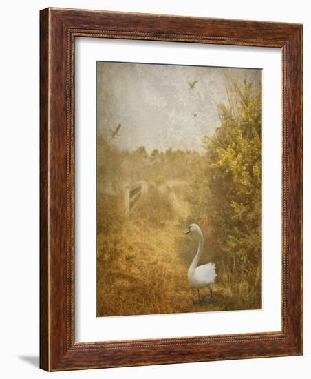 Buzzbird-Lynne Davies-Framed Photographic Print