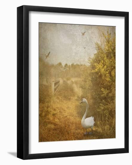 Buzzbird-Lynne Davies-Framed Photographic Print