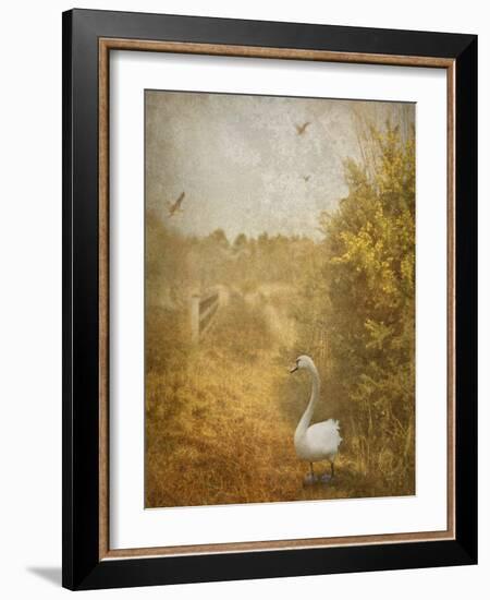 Buzzbird-Lynne Davies-Framed Photographic Print