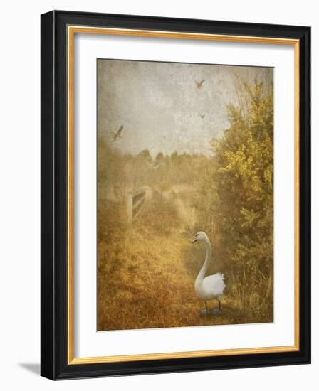 Buzzbird-Lynne Davies-Framed Photographic Print