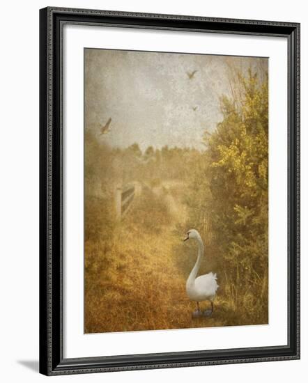 Buzzbird-Lynne Davies-Framed Photographic Print