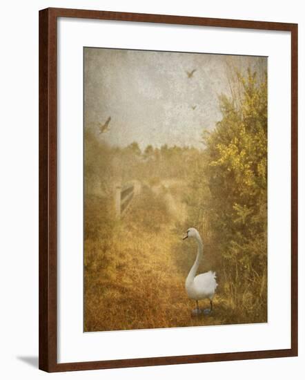 Buzzbird-Lynne Davies-Framed Photographic Print
