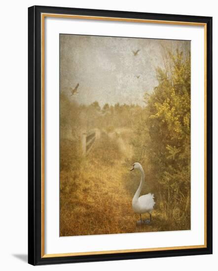 Buzzbird-Lynne Davies-Framed Photographic Print