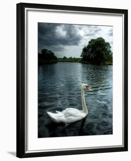 Buzzset-Tim Kahane-Framed Photographic Print