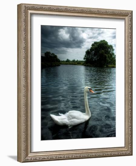 Buzzset-Tim Kahane-Framed Photographic Print