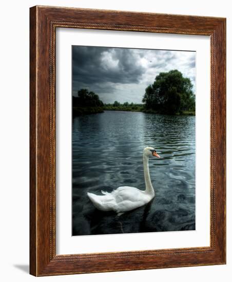 Buzzset-Tim Kahane-Framed Photographic Print