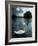 Buzzset-Tim Kahane-Framed Photographic Print