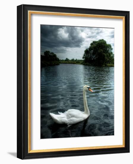 Buzzset-Tim Kahane-Framed Photographic Print