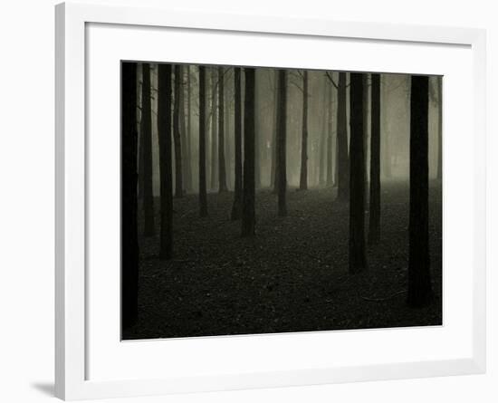 Buzztube-David Baker-Framed Photographic Print