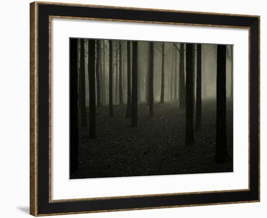 Buzztube-David Baker-Framed Photographic Print