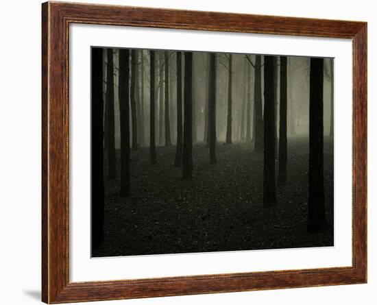 Buzztube-David Baker-Framed Photographic Print