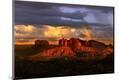 Photographic Print