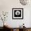 BW Dandelion on Black 02-Tom Quartermaine-Framed Giclee Print displayed on a wall