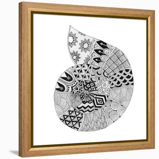 BW Decorated Nautilus-Pam Varacek-Framed Stretched Canvas