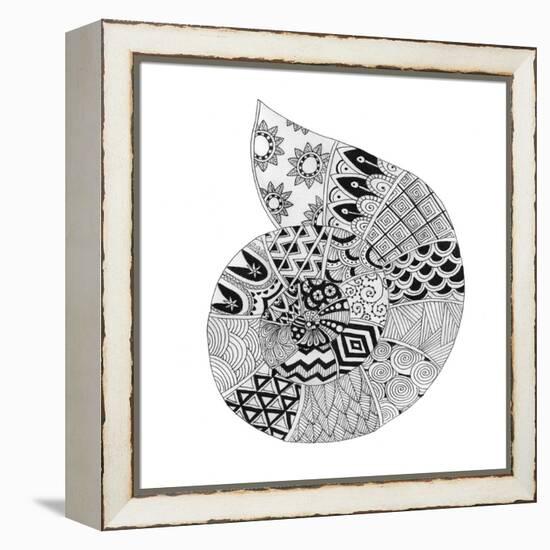 BW Decorated Nautilus-Pam Varacek-Framed Stretched Canvas