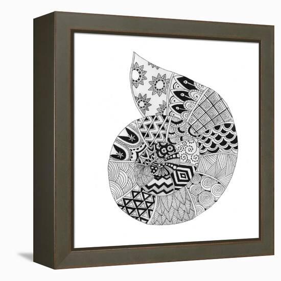 BW Decorated Nautilus-Pam Varacek-Framed Stretched Canvas