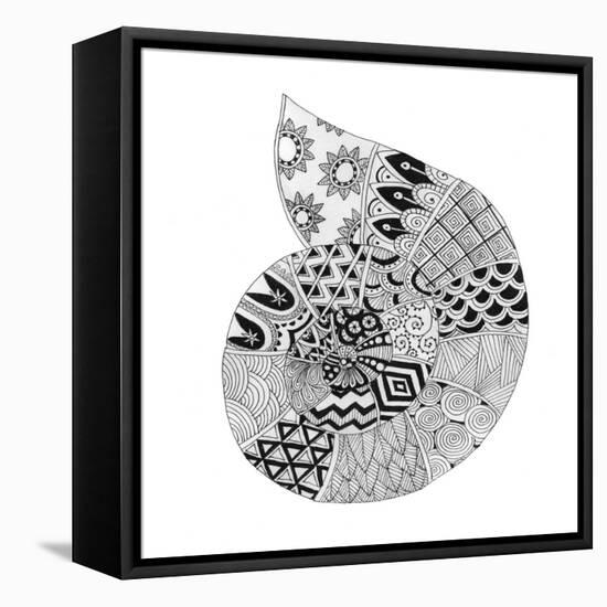 BW Decorated Nautilus-Pam Varacek-Framed Stretched Canvas