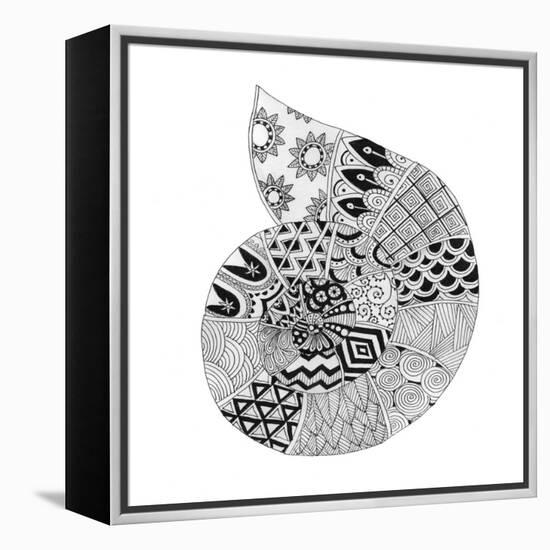 BW Decorated Nautilus-Pam Varacek-Framed Stretched Canvas