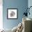 BW Decorated Nautilus-Pam Varacek-Framed Premium Giclee Print displayed on a wall