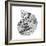 BW Decorated Nautilus-Pam Varacek-Framed Premium Giclee Print