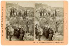 The Garden of Gethsemane and the Mount of Olives, Palestine, 1898-BW Kilburn-Giclee Print