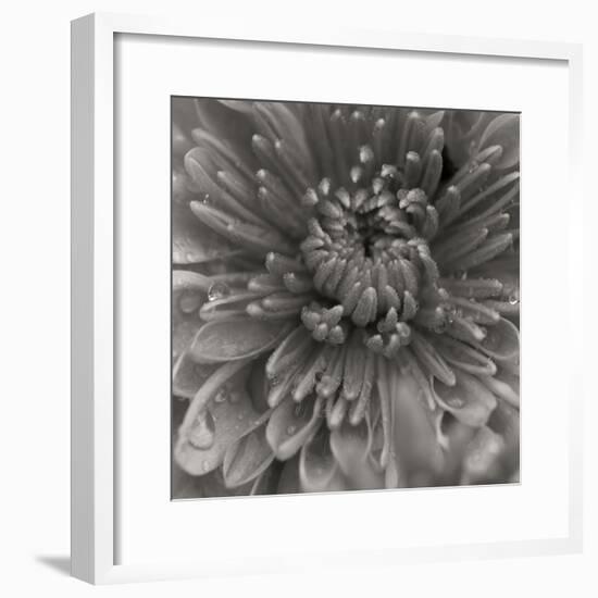 BW Mum Sq I-Erin Berzel-Framed Photographic Print