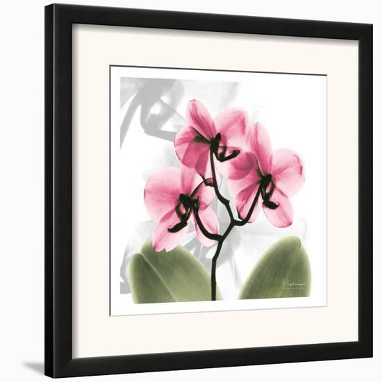 BW Orchid Orange-Albert Koetsier-Framed Art Print