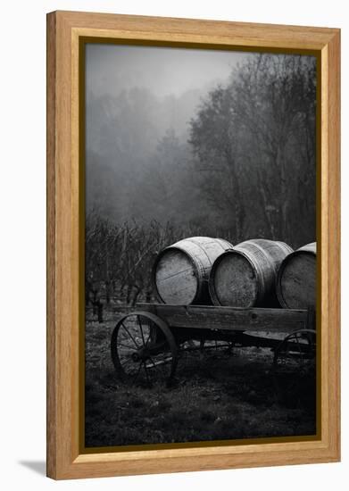 BW Oregon Wine Country II-Erin Berzel-Framed Premier Image Canvas