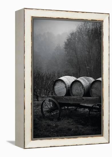 BW Oregon Wine Country II-Erin Berzel-Framed Premier Image Canvas