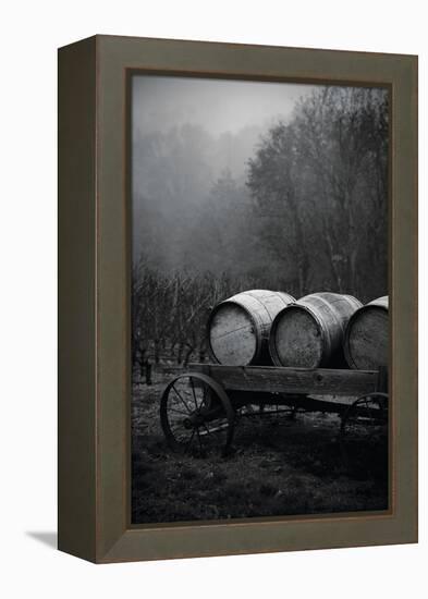 BW Oregon Wine Country II-Erin Berzel-Framed Premier Image Canvas