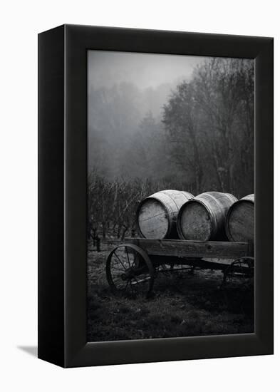 BW Oregon Wine Country II-Erin Berzel-Framed Premier Image Canvas