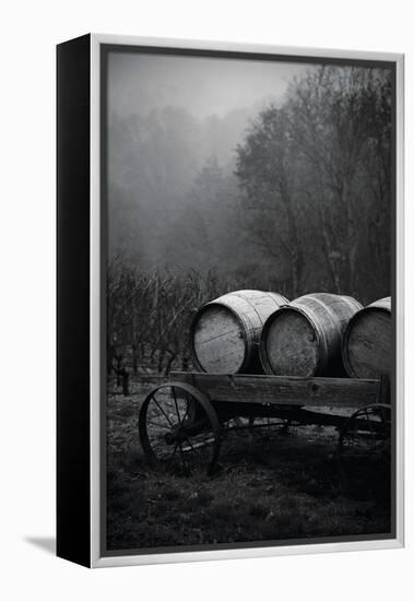 BW Oregon Wine Country II-Erin Berzel-Framed Premier Image Canvas