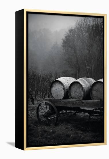 BW Oregon Wine Country II-Erin Berzel-Framed Premier Image Canvas