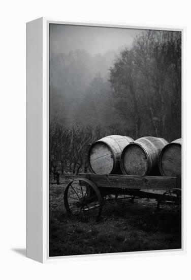 BW Oregon Wine Country II-Erin Berzel-Framed Premier Image Canvas