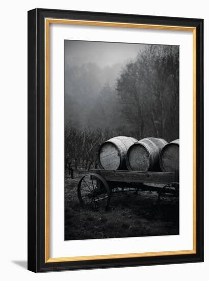 BW Oregon Wine Country II-Erin Berzel-Framed Photographic Print