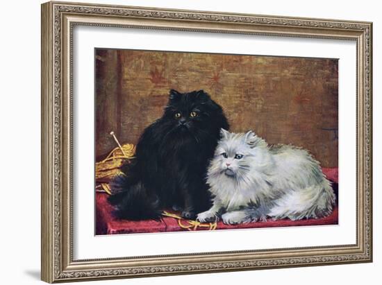 BW Persian Cats-null-Framed Art Print