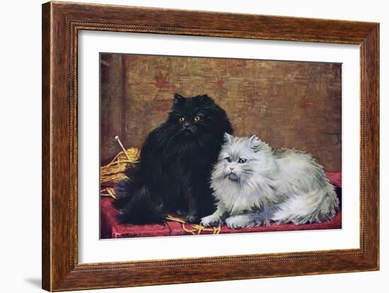 BW Persian Cats-null-Framed Art Print